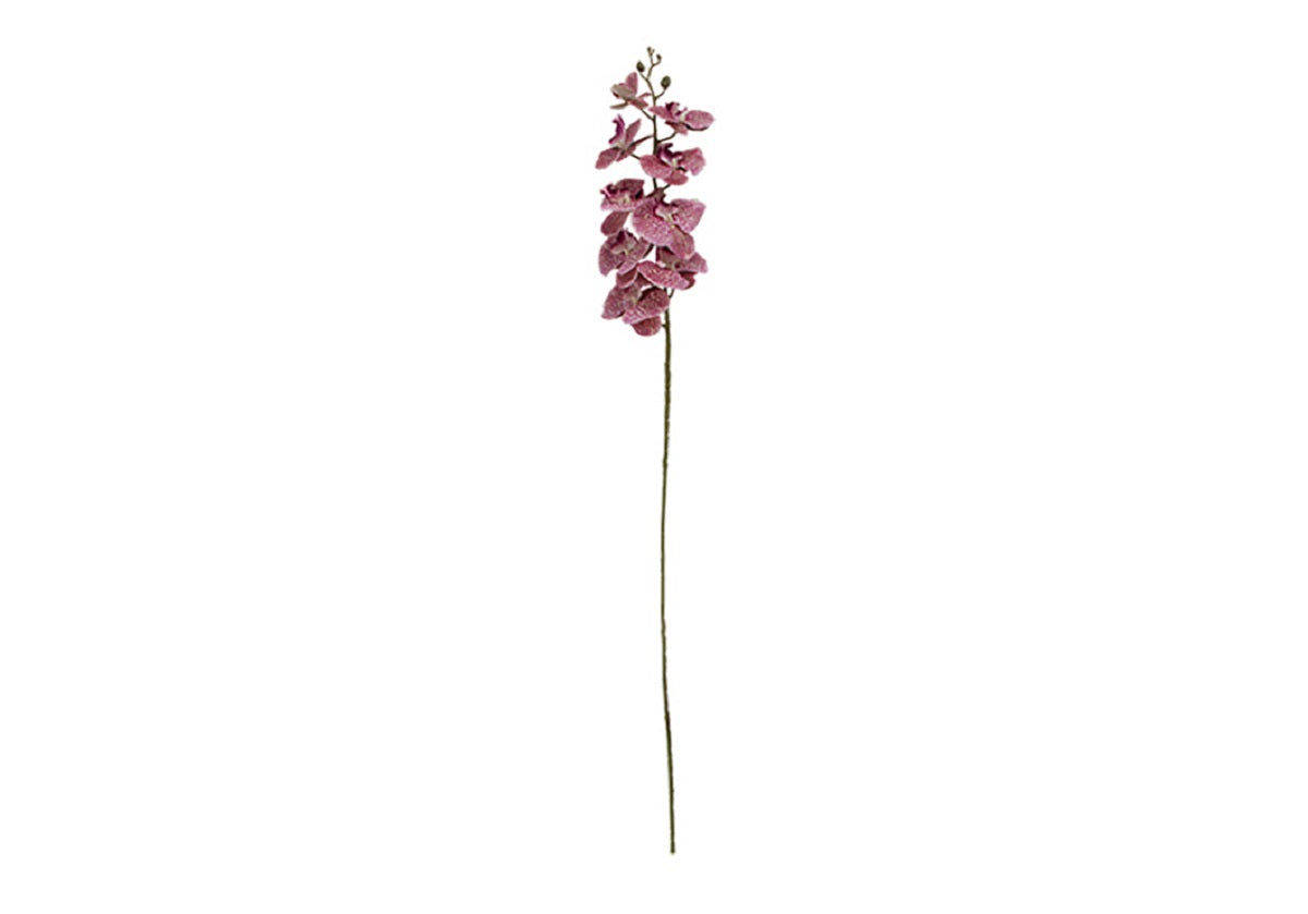 PINK ORCHID STEM