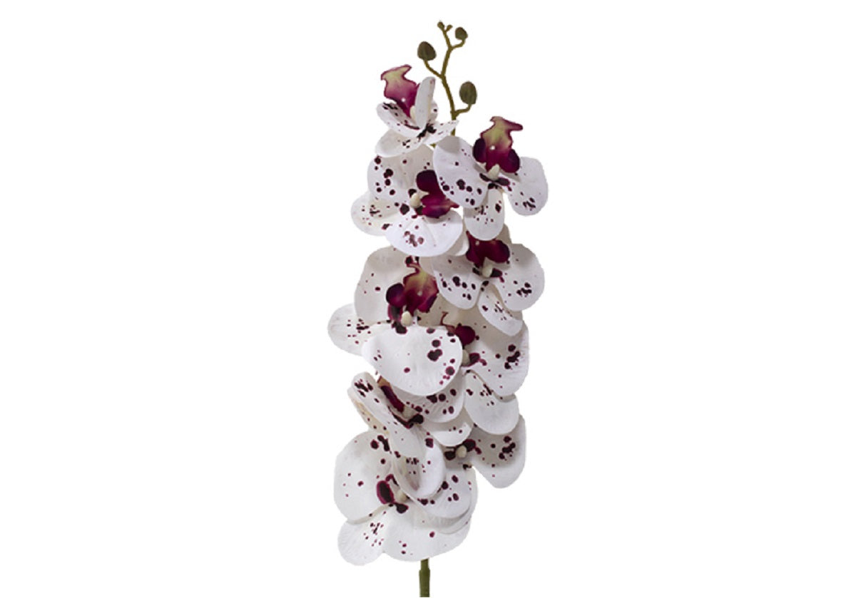 WHITE & PURPLE ORCHID STEM