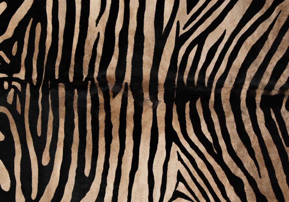 ZEBRA RUG