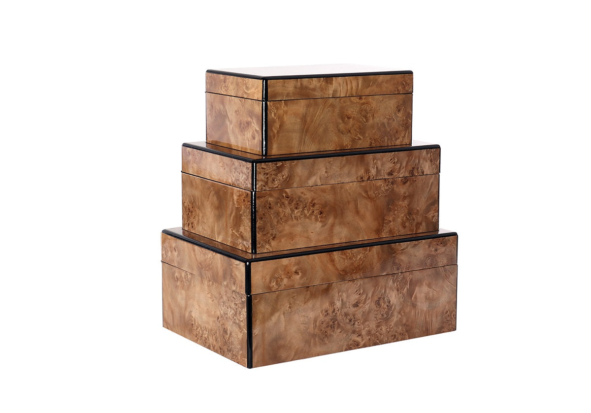 BURLED WOOD BOX  Alice Lane Home Collection