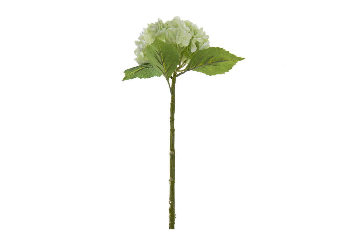 HYDRANGEA STEM | LIMELIGHT