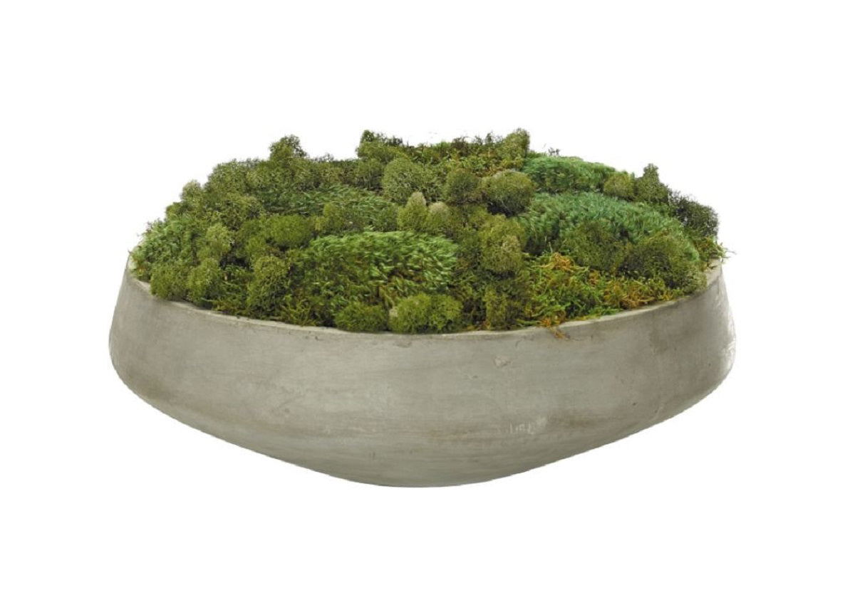 Moss Bowl – Staged Dwellings