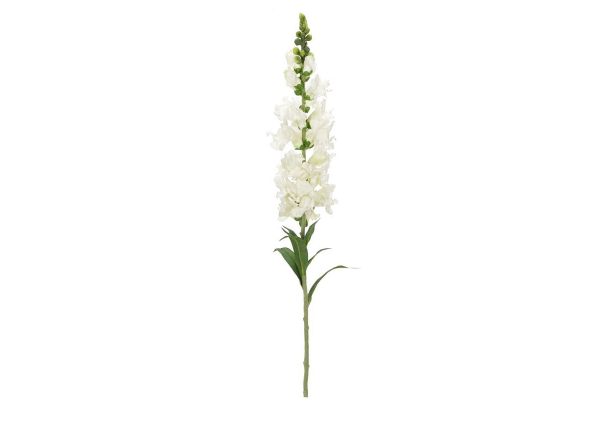 WHITE SNAPDRAGON STEMS