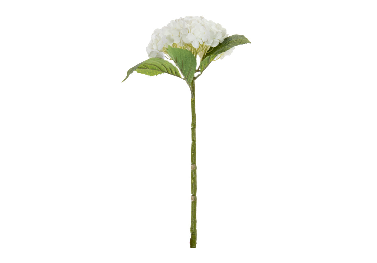 HYDRANGEA STEM | White