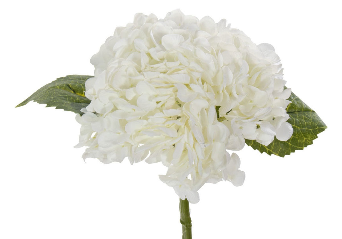 HYDRANGEA STEM | White